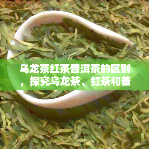 乌龙茶红茶普洱茶的区别，探究乌龙茶、红茶和普洱茶的差异与特点