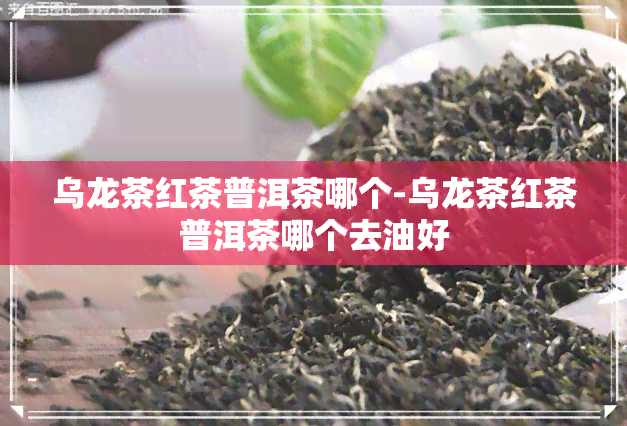 乌龙茶红茶普洱茶哪个-乌龙茶红茶普洱茶哪个去油好