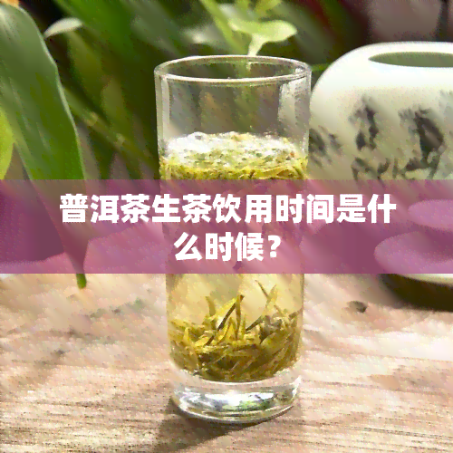 普洱茶生茶饮用时间是什么时候？