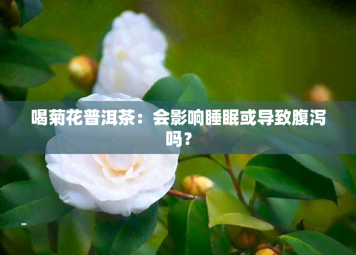 喝菊花普洱茶：会影响睡眠或导致腹泻吗？