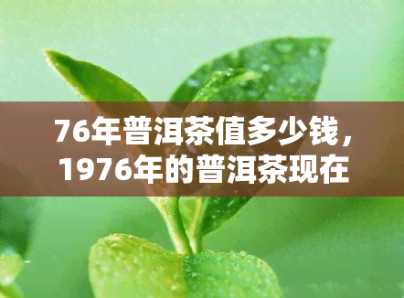 76年普洱茶值多少钱，1976年的普洱茶现在值多少钱？一份详细的市场价值分析