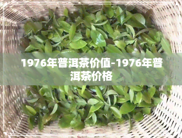 1976年普洱茶价值-1976年普洱茶价格