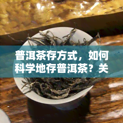 普洱茶存方式，如何科学地存普洱茶？关键步骤与技巧分享