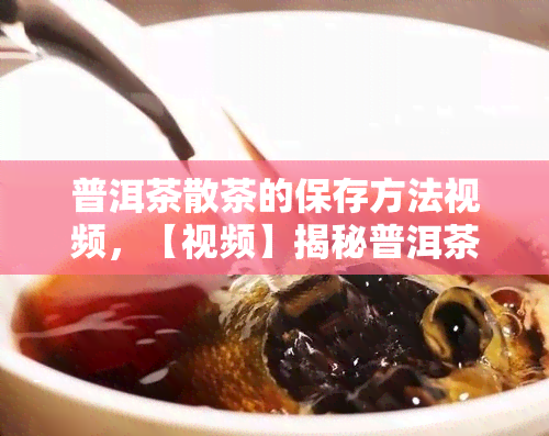 普洱茶散茶的保存方法视频，【视频】揭秘普洱茶散茶的保存方法！