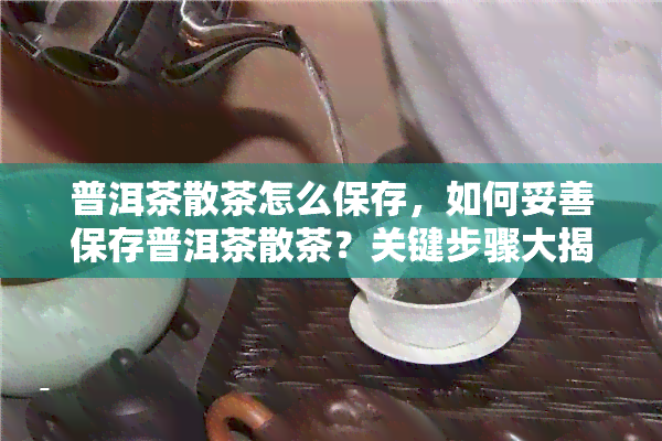 普洱茶散茶怎么保存，如何妥善保存普洱茶散茶？关键步骤大揭秘！