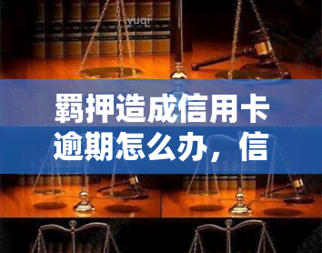 羁押造成信用卡逾期怎么办，信用卡逾期与羁押：如何应对？