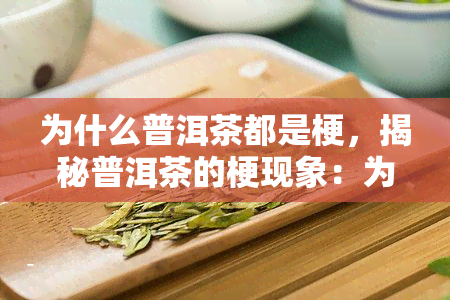 为什么普洱茶都是梗，揭秘普洱茶的梗现象：为何普洱茶多为梗？