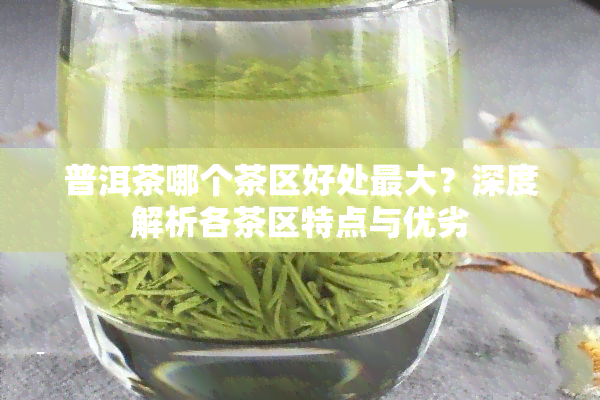 普洱茶哪个茶区好处更大？深度解析各茶区特点与优劣