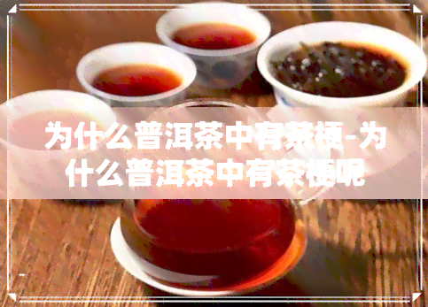 为什么普洱茶中有茶梗-为什么普洱茶中有茶梗呢