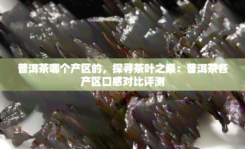 普洱茶哪个产区的，探寻茶叶之巅：普洱茶各产区口感对比评测