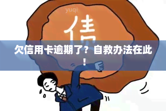 欠信用卡逾期了？自救办法在此！