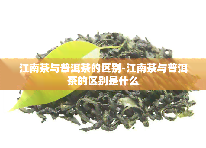 江南茶与普洱茶的区别-江南茶与普洱茶的区别是什么