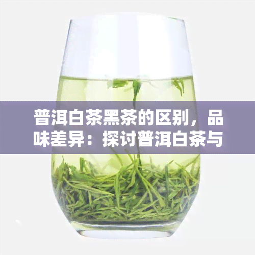 普洱白茶黑茶的区别，品味差异：探讨普洱白茶与黑茶的不同之处