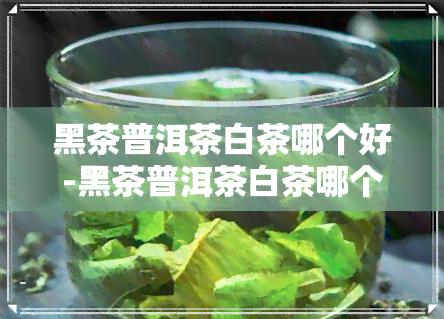 黑茶普洱茶白茶哪个好-黑茶普洱茶白茶哪个好喝