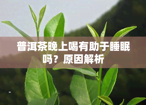 普洱茶晚上喝有助于睡眠吗？原因解析