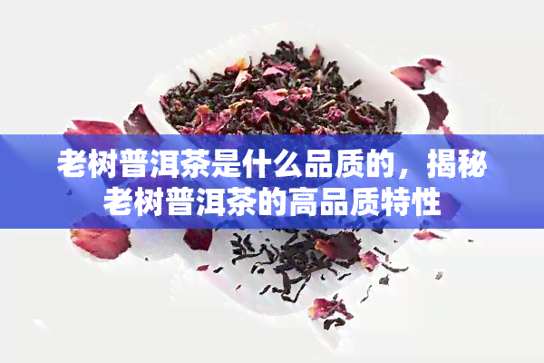 老树普洱茶是什么品质的，揭秘老树普洱茶的高品质特性