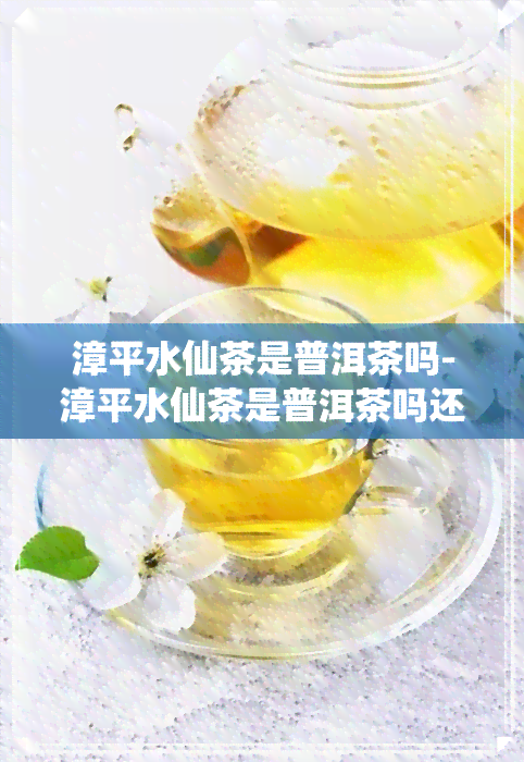 漳平水仙茶是普洱茶吗-漳平水仙茶是普洱茶吗还是红茶