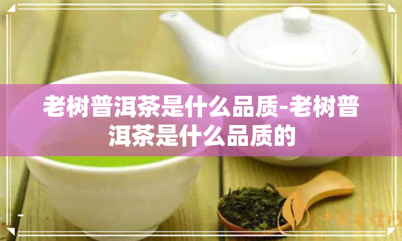 老树普洱茶是什么品质-老树普洱茶是什么品质的