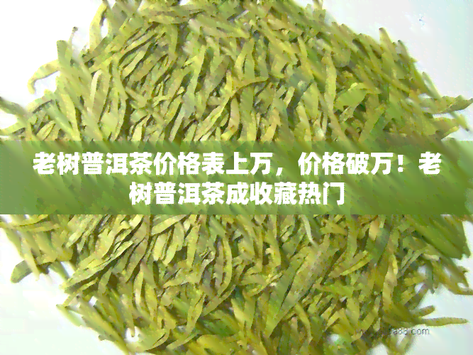 老树普洱茶价格表上万，价格破万！老树普洱茶成收藏热门