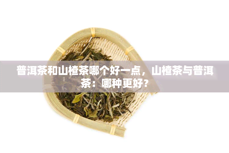 普洱茶和山楂茶哪个好一点，山楂茶与普洱茶：哪种更好？