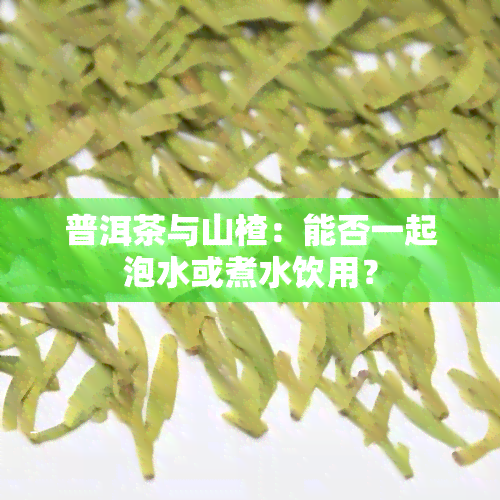 普洱茶与山楂：能否一起泡水或煮水饮用？