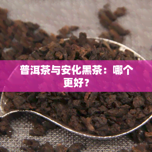 普洱茶与安化黑茶：哪个更好？