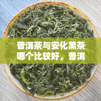 普洱茶与安化黑茶哪个比较好，普洱茶 vs 安化黑茶：哪个更胜一筹？