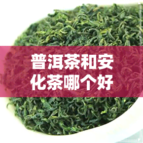 普洱茶和安化茶哪个好-普洱茶和安化茶哪个好喝