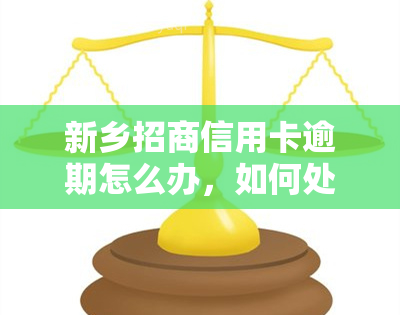 新乡招商信用卡逾期怎么办，如何处理新乡招商信用卡逾期？一份全面的解决方案