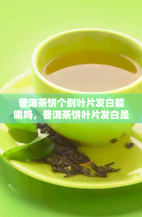 普洱茶饼个别叶片发白能喝吗，普洱茶饼叶片发白是否影响饮用？