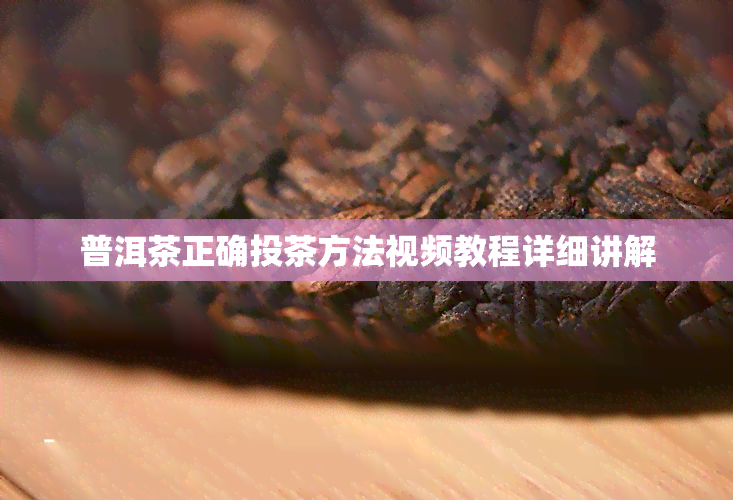 普洱茶正确投茶方法视频教程详细讲解