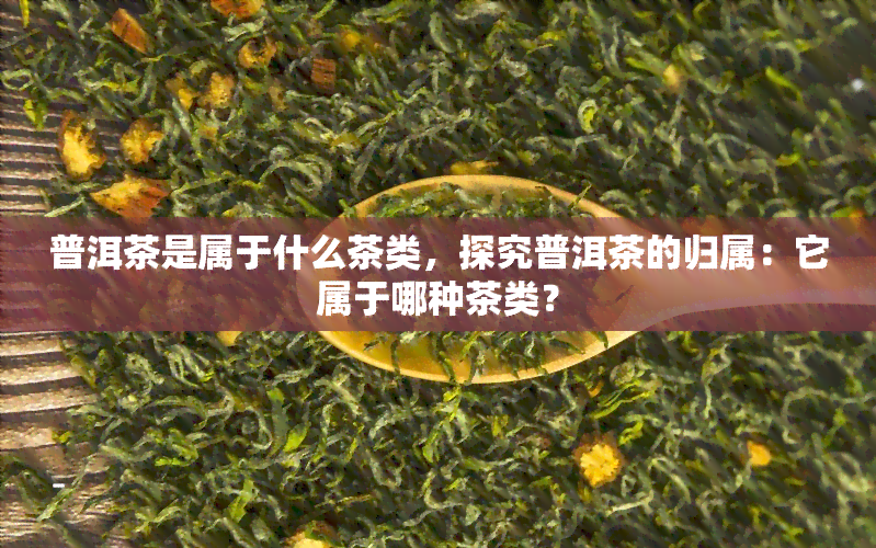 普洱茶是属于什么茶类，探究普洱茶的归属：它属于哪种茶类？