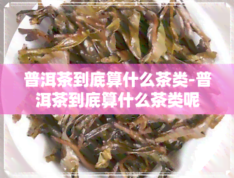 普洱茶到底算什么茶类-普洱茶到底算什么茶类呢