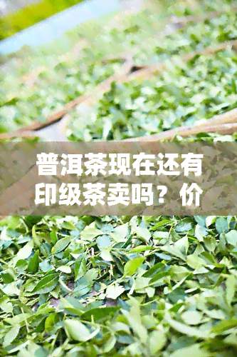 普洱茶现在还有印级茶卖吗？价格多少？知乎上有相关讨论吗？