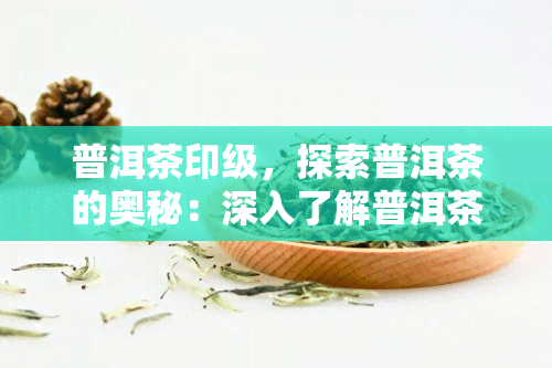 普洱茶印级，探索普洱茶的奥秘：深入了解普洱茶印级