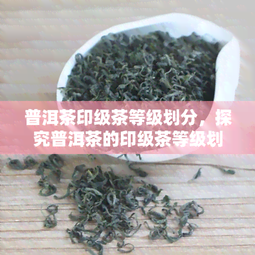 普洱茶印级茶等级划分，探究普洱茶的印级茶等级划分及其特点