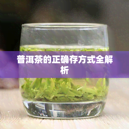 普洱茶的正确存方式全解析