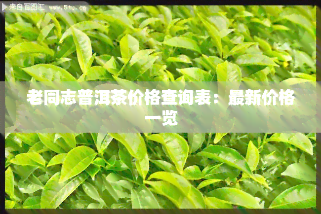 老同志普洱茶价格查询表：最新价格一览