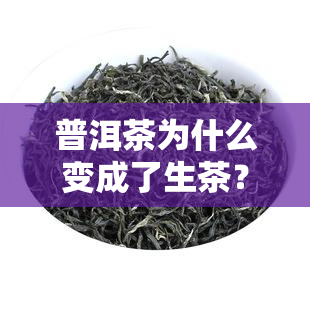 普洱茶为什么变成了生茶？其转变过程与饮用价值解析