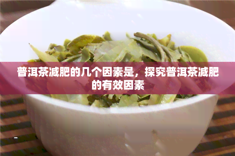 普洱茶减肥的几个因素是，探究普洱茶减肥的有效因素