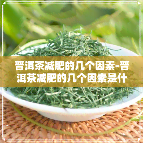 普洱茶减肥的几个因素-普洱茶减肥的几个因素是什么