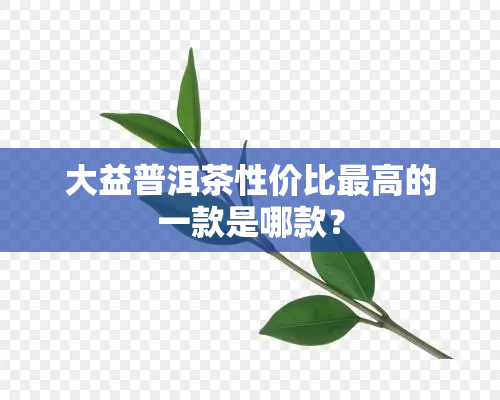 大益普洱茶性价比更高的一款是哪款？