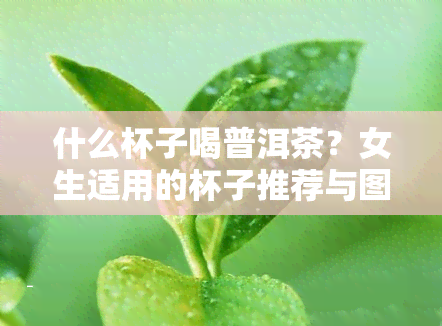 什么杯子喝普洱茶？女生适用的杯子推荐与图片展示