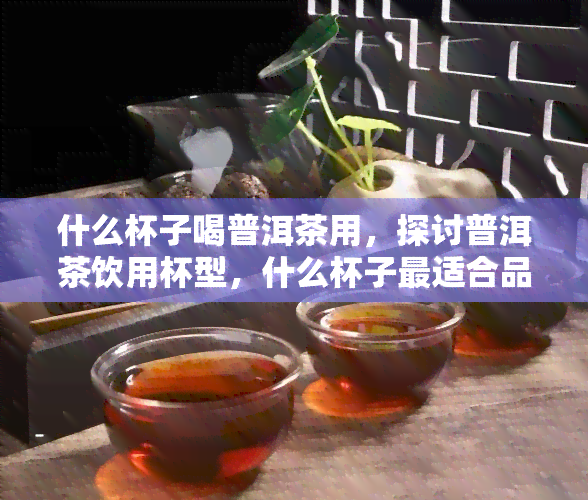 什么杯子喝普洱茶用，探讨普洱茶饮用杯型，什么杯子最适合品鉴普洱？