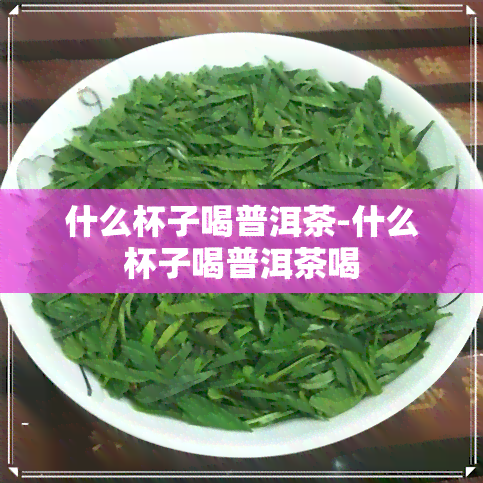 什么杯子喝普洱茶-什么杯子喝普洱茶喝