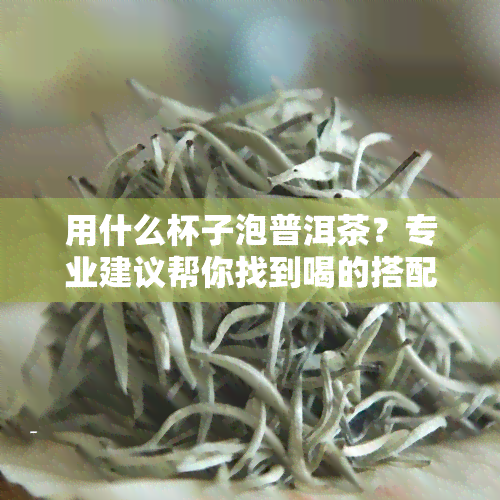 用什么杯子泡普洱茶？专业建议帮你找到喝的搭配！