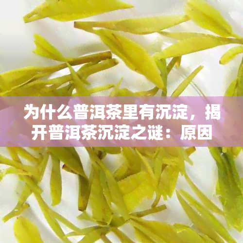 为什么普洱茶里有沉淀，揭开普洱茶沉淀之谜：原因解析与品质影响