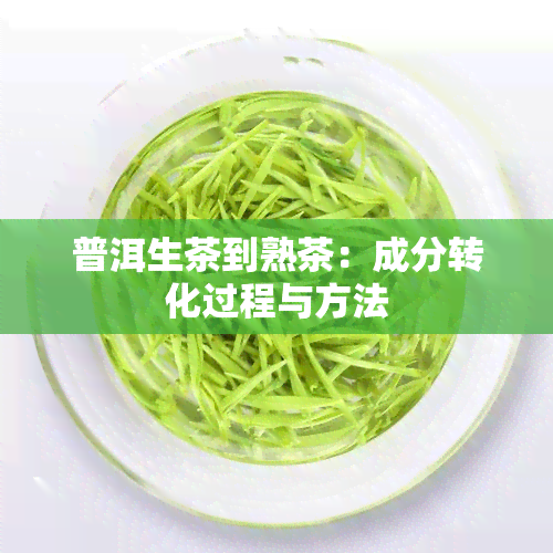 普洱生茶到熟茶：成分转化过程与方法