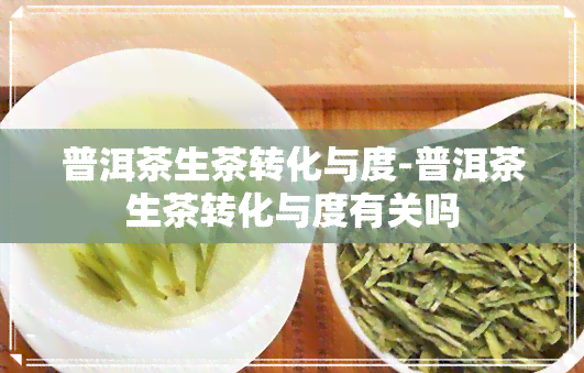 普洱茶生茶转化与度-普洱茶生茶转化与度有关吗