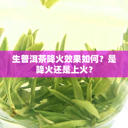 生普洱茶降火效果如何？是降火还是上火？